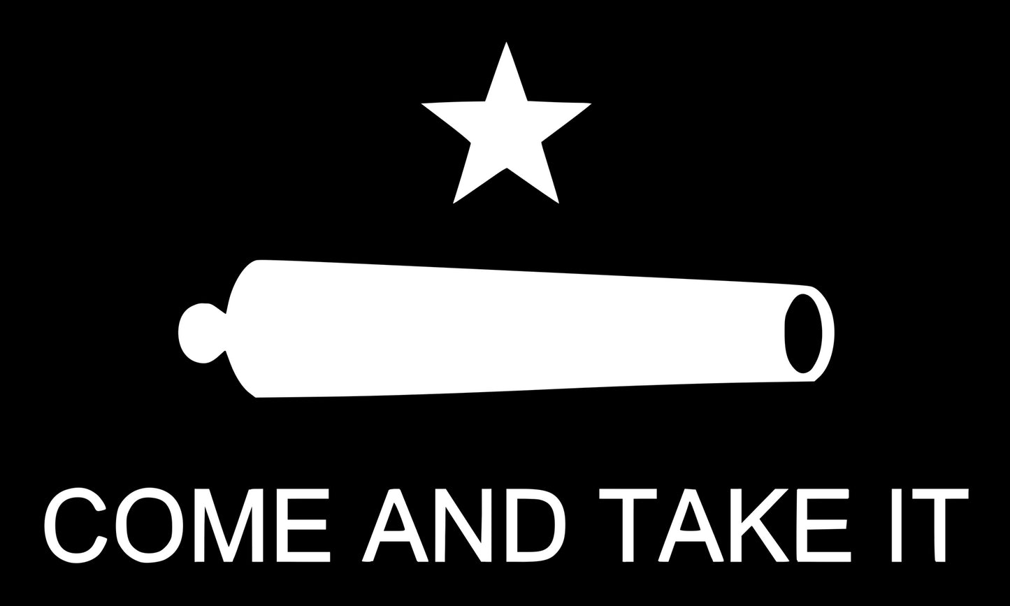 Come and Take It 3" x 5" Bumper Sticker